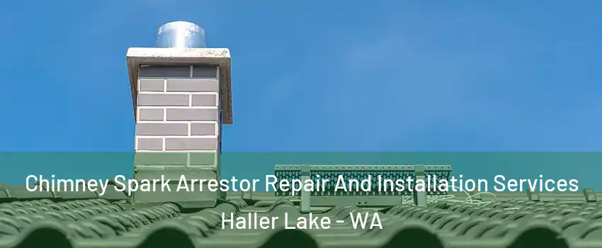 Chimney Spark Arrestor Repair And Installation Services Haller Lake - WA