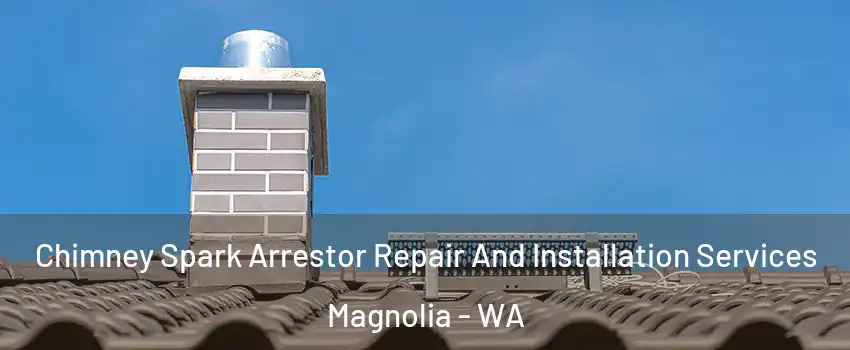 Chimney Spark Arrestor Repair And Installation Services Magnolia - WA