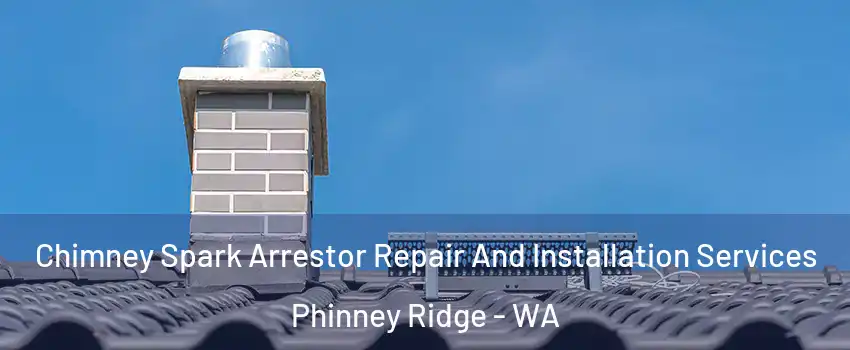 Chimney Spark Arrestor Repair And Installation Services Phinney Ridge - WA