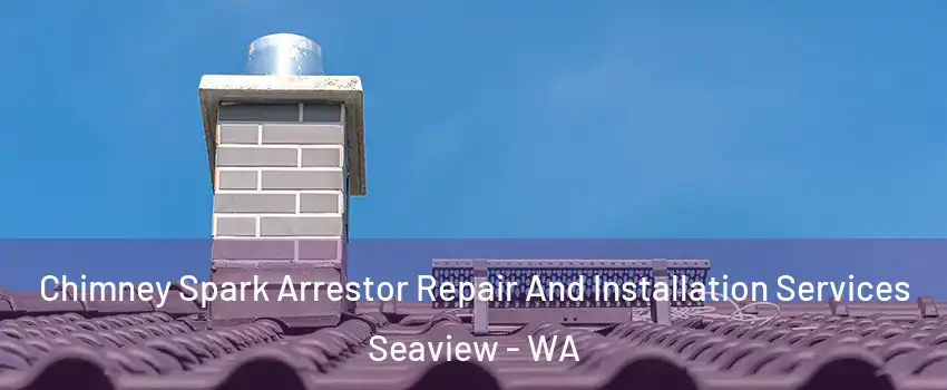 Chimney Spark Arrestor Repair And Installation Services Seaview - WA