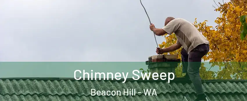 Chimney Sweep Beacon Hill - WA