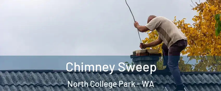 Chimney Sweep North College Park - WA