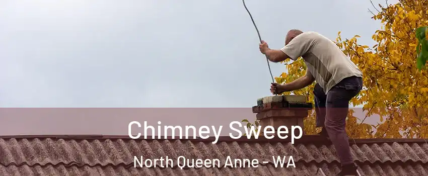 Chimney Sweep North Queen Anne - WA