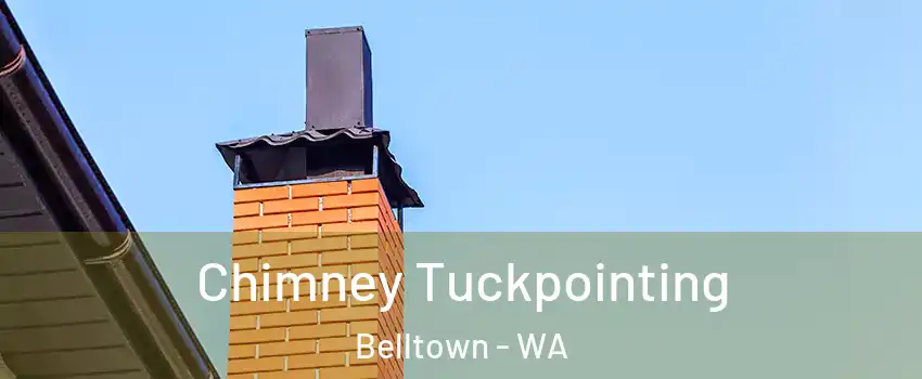 Chimney Tuckpointing Belltown - WA