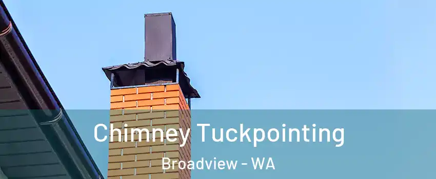 Chimney Tuckpointing Broadview - WA