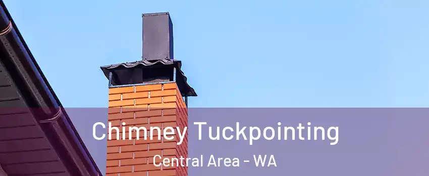 Chimney Tuckpointing Central Area - WA