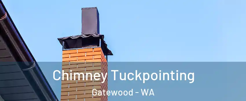 Chimney Tuckpointing Gatewood - WA