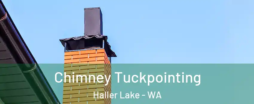 Chimney Tuckpointing Haller Lake - WA