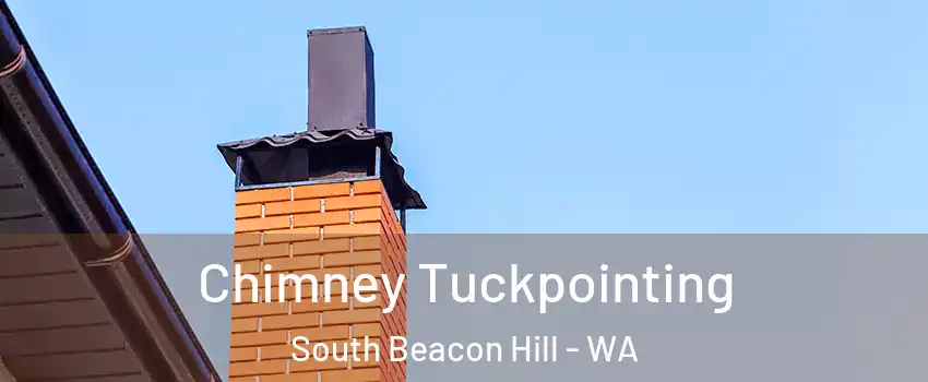 Chimney Tuckpointing South Beacon Hill - WA