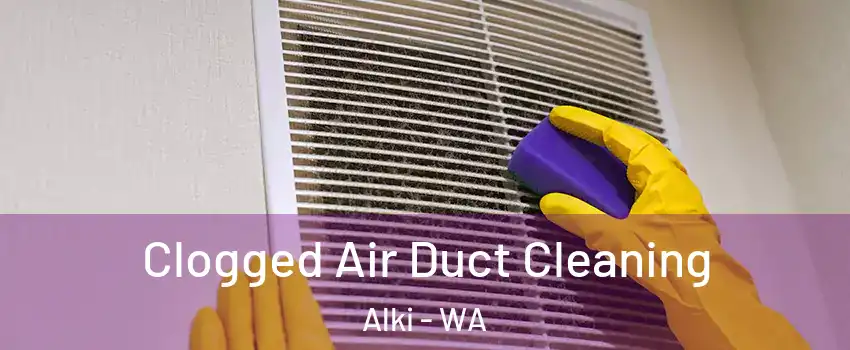 Clogged Air Duct Cleaning Alki - WA