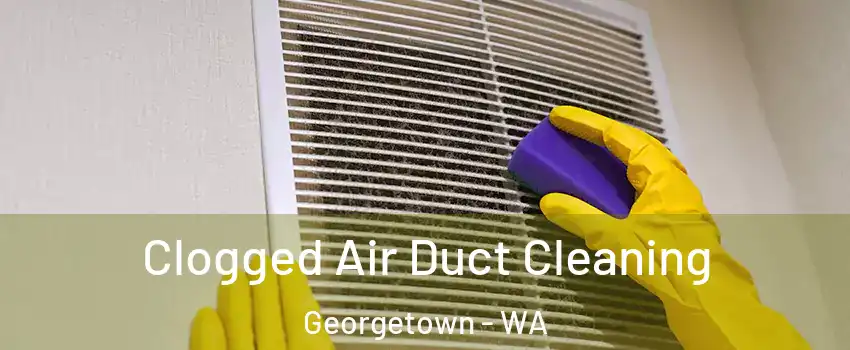 Clogged Air Duct Cleaning Georgetown - WA