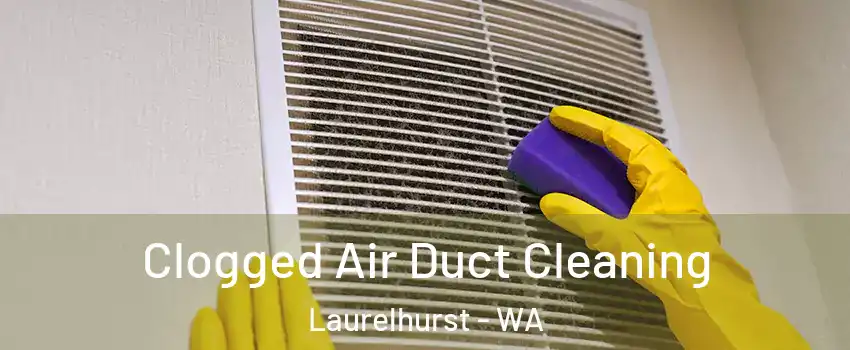 Clogged Air Duct Cleaning Laurelhurst - WA