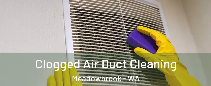 Clogged Air Duct Cleaning Meadowbrook - WA