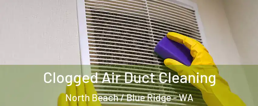 Clogged Air Duct Cleaning North Beach / Blue Ridge - WA