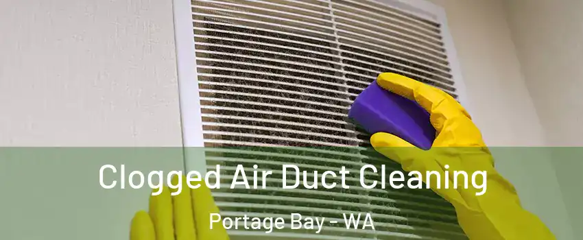 Clogged Air Duct Cleaning Portage Bay - WA