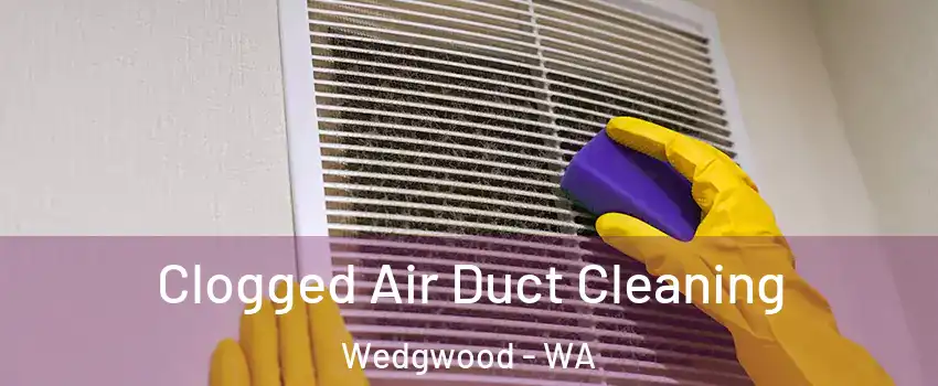 Clogged Air Duct Cleaning Wedgwood - WA