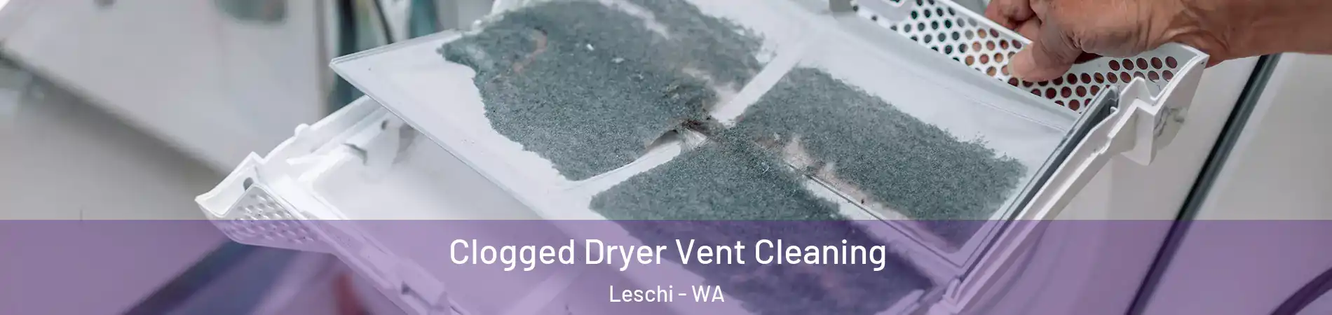 Clogged Dryer Vent Cleaning Leschi - WA