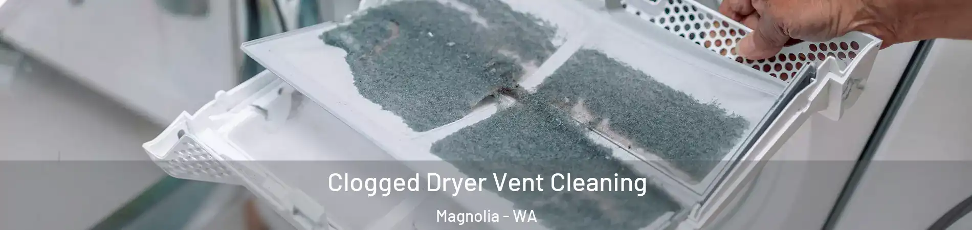 Clogged Dryer Vent Cleaning Magnolia - WA