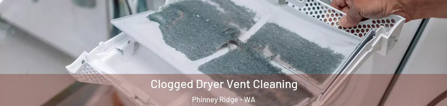 Clogged Dryer Vent Cleaning Phinney Ridge - WA