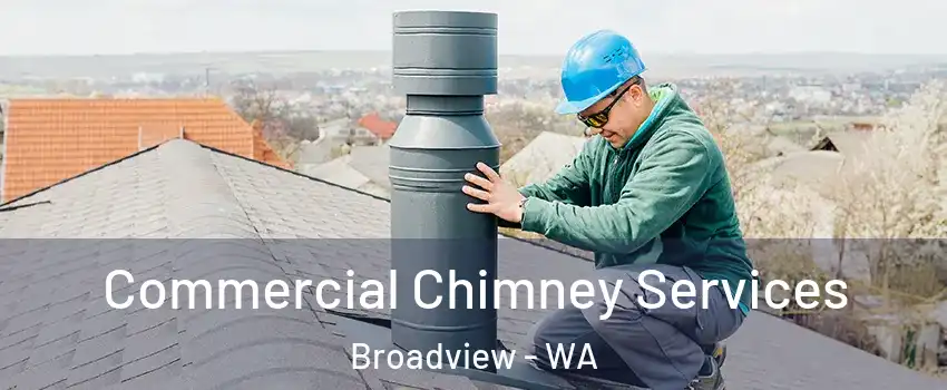 Commercial Chimney Services Broadview - WA