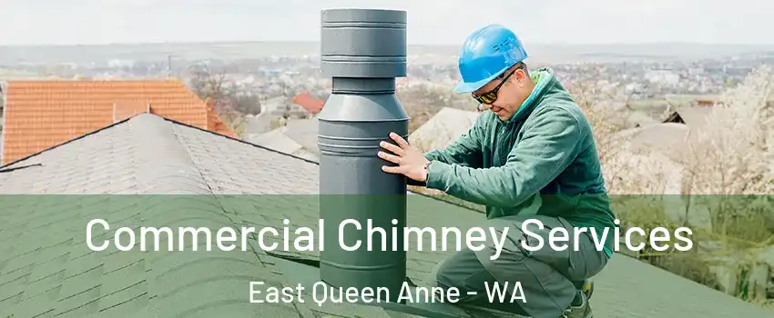 Commercial Chimney Services East Queen Anne - WA