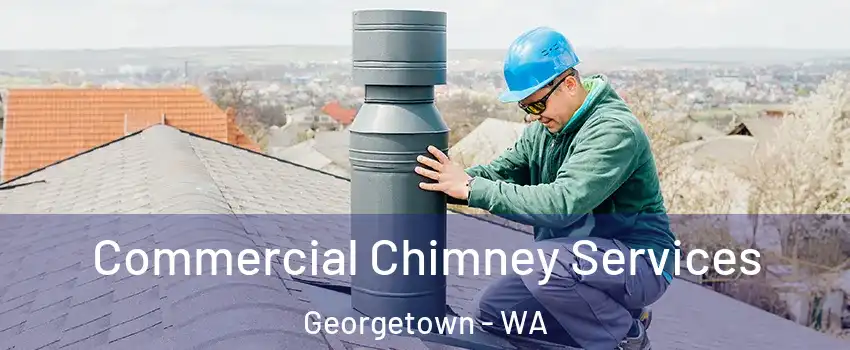 Commercial Chimney Services Georgetown - WA