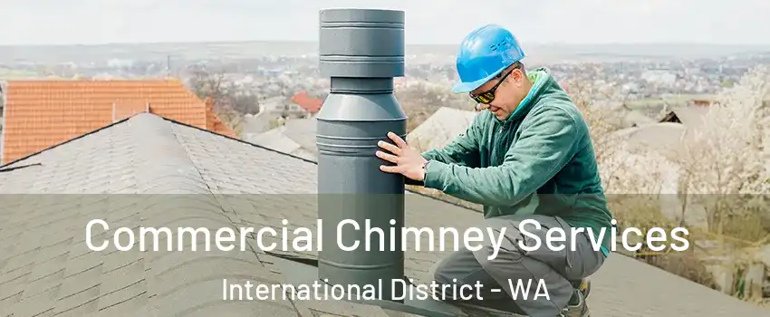 Commercial Chimney Services International District - WA