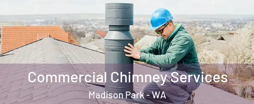 Commercial Chimney Services Madison Park - WA