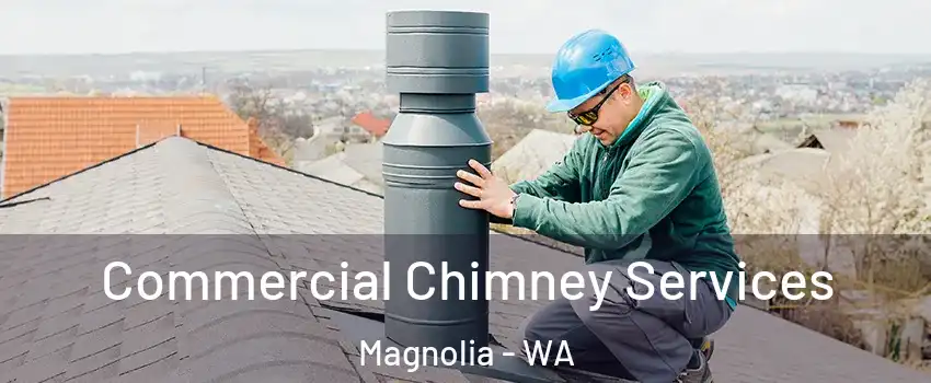 Commercial Chimney Services Magnolia - WA