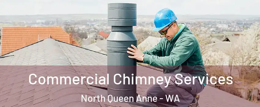 Commercial Chimney Services North Queen Anne - WA