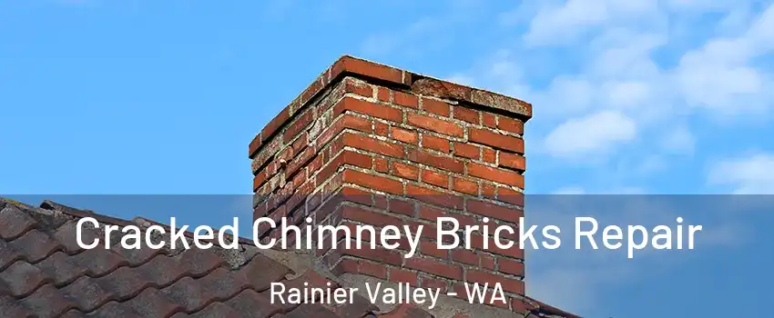 Cracked Chimney Bricks Repair Rainier Valley - WA