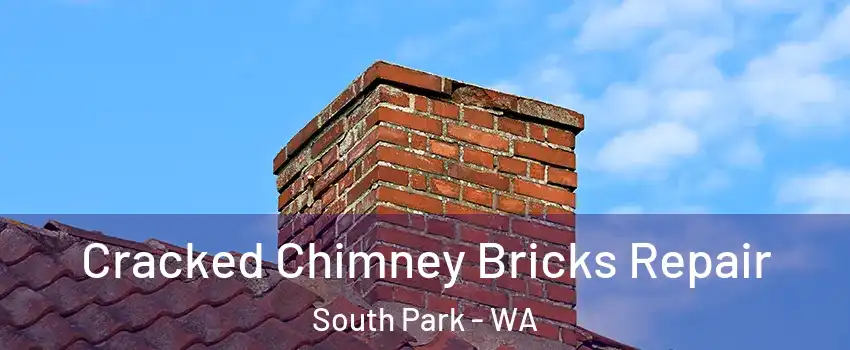 Cracked Chimney Bricks Repair South Park - WA