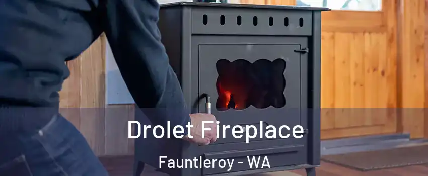 Drolet Fireplace Fauntleroy - WA