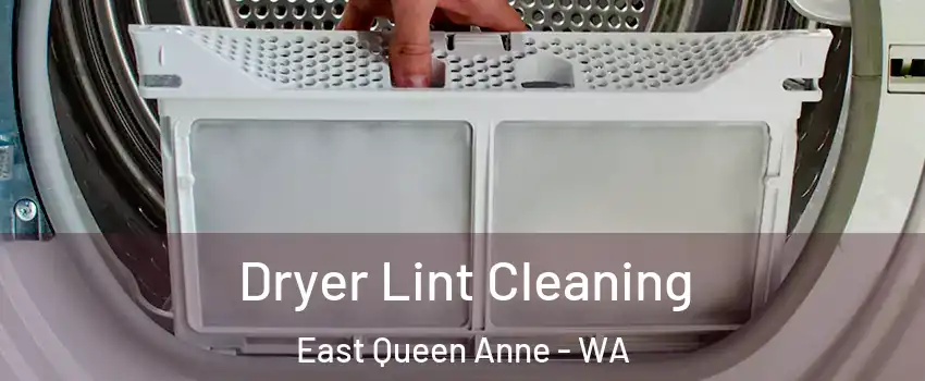 Dryer Lint Cleaning East Queen Anne - WA