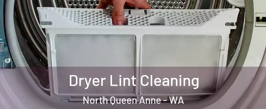 Dryer Lint Cleaning North Queen Anne - WA