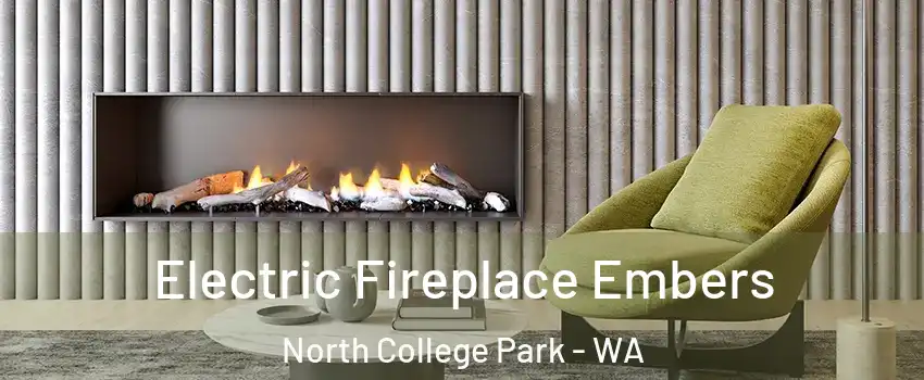 Electric Fireplace Embers North College Park - WA