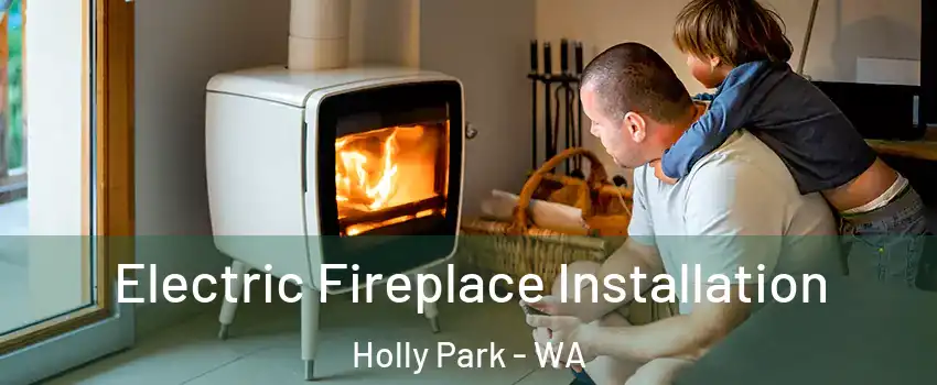 Electric Fireplace Installation Holly Park - WA