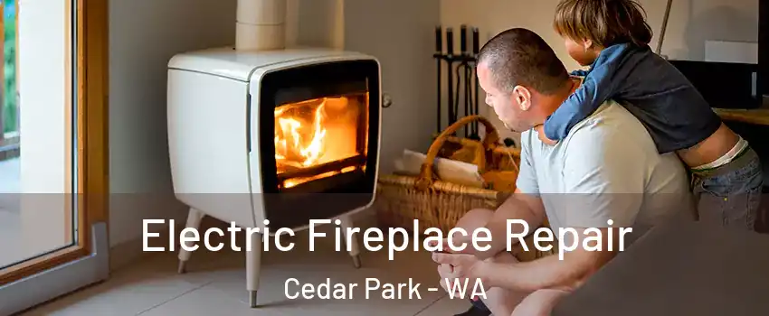 Electric Fireplace Repair Cedar Park - WA