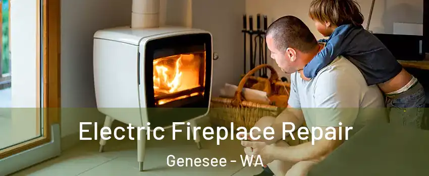 Electric Fireplace Repair Genesee - WA