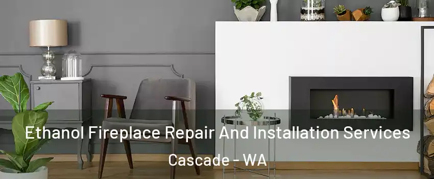 Ethanol Fireplace Repair And Installation Services Cascade - WA