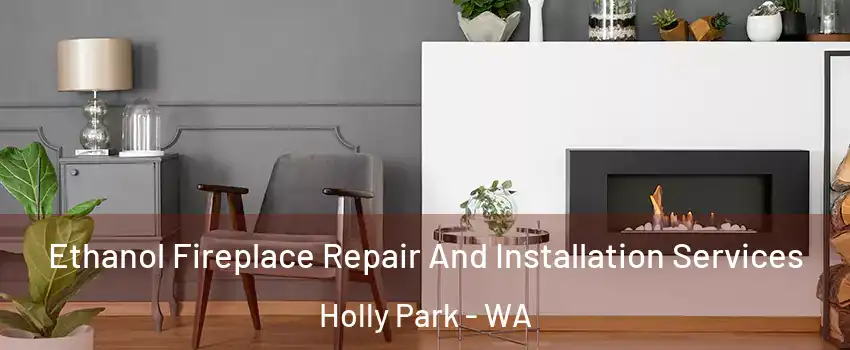 Ethanol Fireplace Repair And Installation Services Holly Park - WA