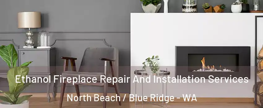 Ethanol Fireplace Repair And Installation Services North Beach / Blue Ridge - WA