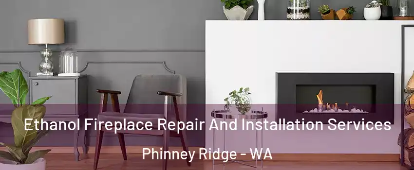 Ethanol Fireplace Repair And Installation Services Phinney Ridge - WA