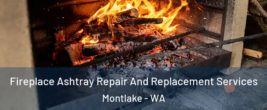 Fireplace Ashtray Repair And Replacement Services Montlake - WA