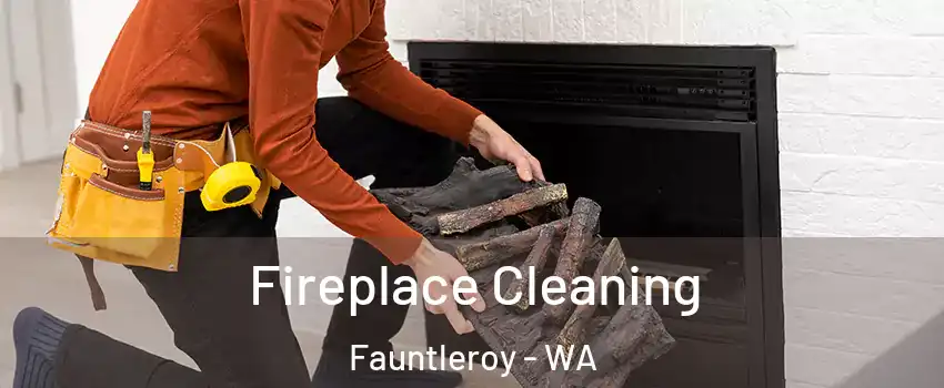 Fireplace Cleaning Fauntleroy - WA