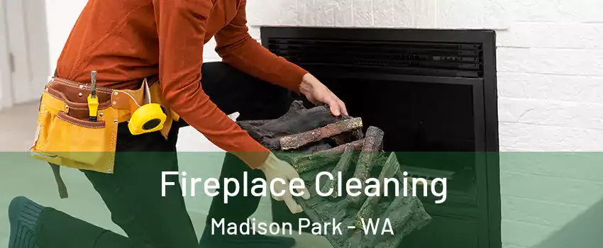 Fireplace Cleaning Madison Park - WA