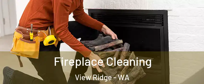 Fireplace Cleaning View Ridge - WA