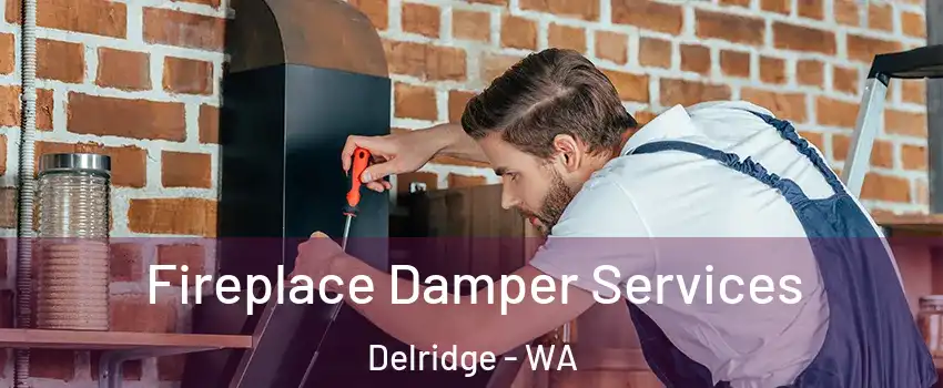 Fireplace Damper Services Delridge - WA