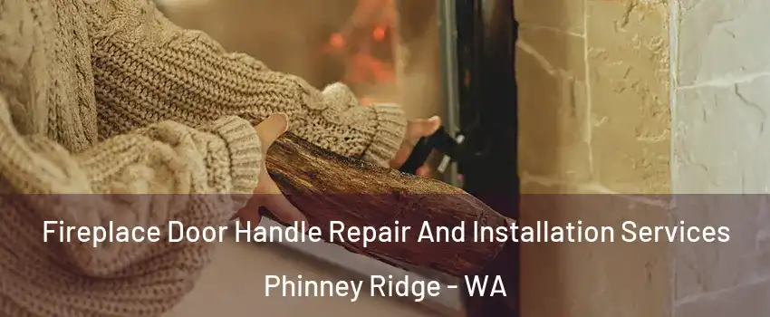 Fireplace Door Handle Repair And Installation Services Phinney Ridge - WA