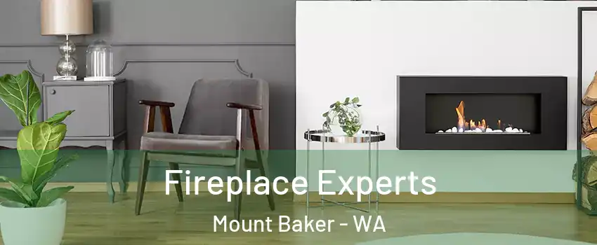 Fireplace Experts Mount Baker - WA